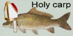 holycarp