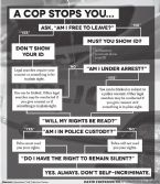 If a cop stops you