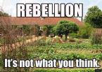 REBELLION