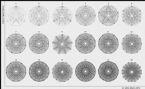 Adamic Cypher Radials small