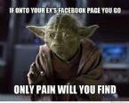 only pain you will find