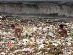 street kids swimming in garbage photo ... (Click to enlarge)