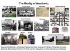 Auschwitz Reality