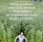 hemp2