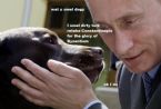 putingoingtothedogs