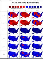 2016electionracegender