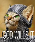 godwillsitcat