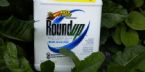 Roundup2