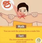 mythvsfact