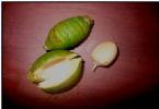 Betel Nut removal