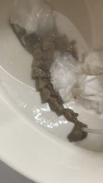 Tapeworm identification help please ... (Click to enlarge)