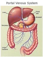 enema portal venous jpg cf