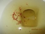 IMG 0001 10