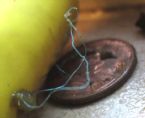 blue string 6 11