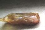 seeds inside a pod