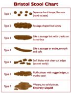 460px Bristol Stool Chart