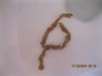 Need identity of intestinal parasite - Image 1 ... (Click to enlarge)