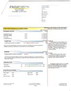 Metametrix Results-Alegre (pg.2 of 5)