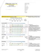 Metametrix Results-Alegre (pg.3 of 5)