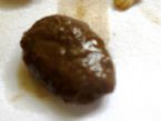 what is this moving parasite in poop ... (Click to enlarge)