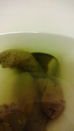 Blood flukes in poop??