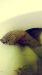 Blood flukes in poop??