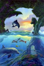 find 7 dolphins by warren