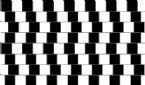 All Lines Are Straight and parallel