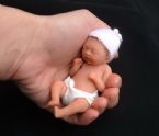 Amazing Miniature Babies by Camille Allen