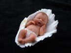 Amazing Miniature Babies by Camille Allen