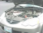 rattle snake inside car engine