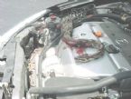 rattle snake inside car engine