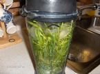 Grass juice and blending 005