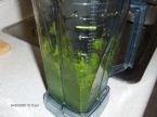 Grass juice and blending 007