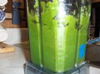 Grass juice and blending 008