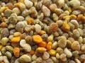 bee pollen