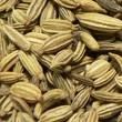 fennel seed