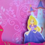 Princess Money Box