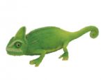 chameleon large money box