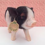 pet bank oinky pig