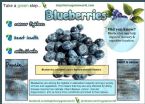 Benefits of blueberries