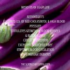 Benefits of eggplant