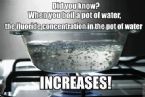 Fluoride in boiling water