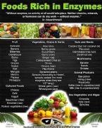 Foods rich in enzymes