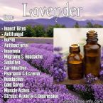 Lavander uses