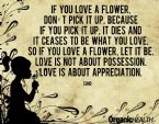 Love is not about posession