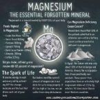 Magnesium