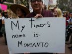 My tumor name is monsanto