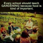 Teach gardening in schools