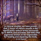 Two hours of nature significantly reduces stress hormones